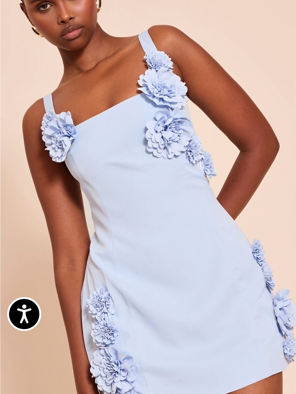 PrettyLittleThing Pastel Blue Floral Appliqué Mini Dress